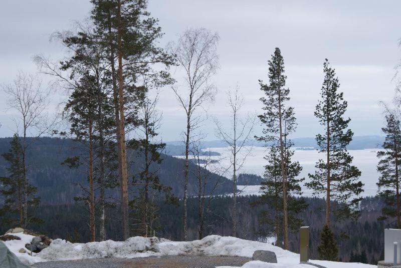Riihivuoren Lomakylae Muurame Oda fotoğraf